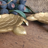 Schaaltje goud schildpad