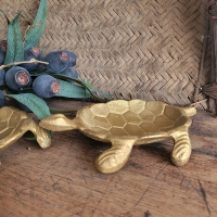 Schaaltje goud schildpad