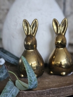 Haasje goud