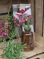 Vaasje met bloem