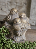 Vogels op stam
