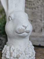 Decoratief Konijnenhoofd met Bloemenkraag