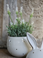 Bunny Dots &ndash; Decoratieve Voorraadpot Konijn Groot