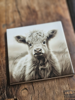 Tegeltje Schotse Hooglander Kalfje