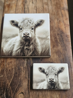 Magneetje Schotse Hooglander Kalfje